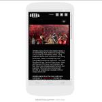 Site web de GRUBB – Aperçu de la maquette adaptative sur Android