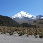 L’ascension vers le pic d’Orizaba permet d’admirer la forêt de pins la plus élevée au monde.