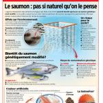 Pisciculture - Le saumon : pas si naturel qu'on le pense