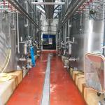 Installations ultramodernes de la cave coopérative de Crouseilles