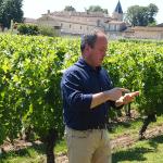 François Despagne, viticulteur