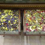 Tisane aux fleurs séchées